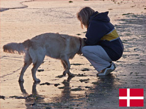 Ferienhaus mit Hund auf Bornholm
