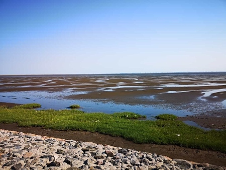 Urlaub in einer Ferienwohnung mit Hund an der Nordsee - Wattenmeer