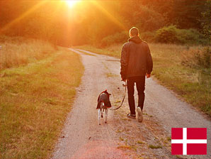 Ferienhaus mit Hund in Jütland