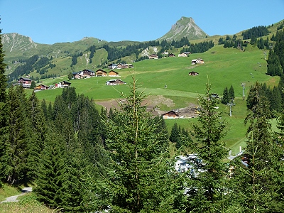 Sommerurlaub mit Hund im Montafon - Ferienhaus mit Hund