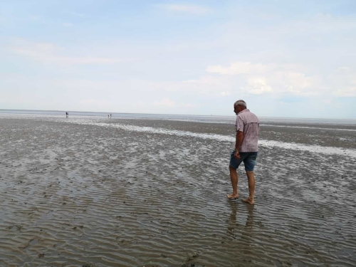 Wattwanderung in der Nordsee von Holland im Urlaub mit Hund