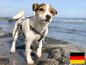 Ferienhaus mit Hund an der Ostsee