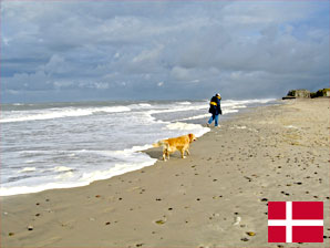 Ferienhaus mit Hund auf Romö