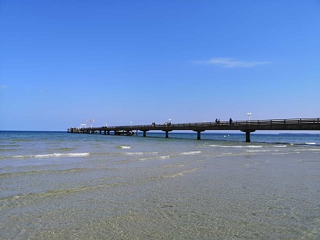 Ostsee-Urlaub im Ferienhaus mit Hund