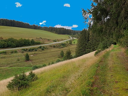 Urlaub in einer Ferienwohnung mit Hund im Schwarzwald