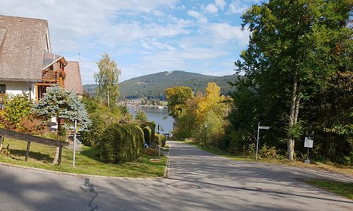 Urlaub in einer Ferienwohnung mit Hund am Titisee im Schwarzwald